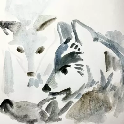 sketch of a wolf family using watercolour 